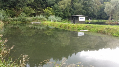 Teich 2 Mietteich